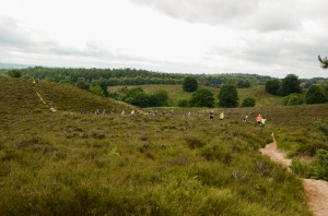 Veluwezoomtrail