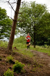 Veluwezoomtrail