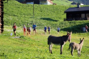 Swissalpine