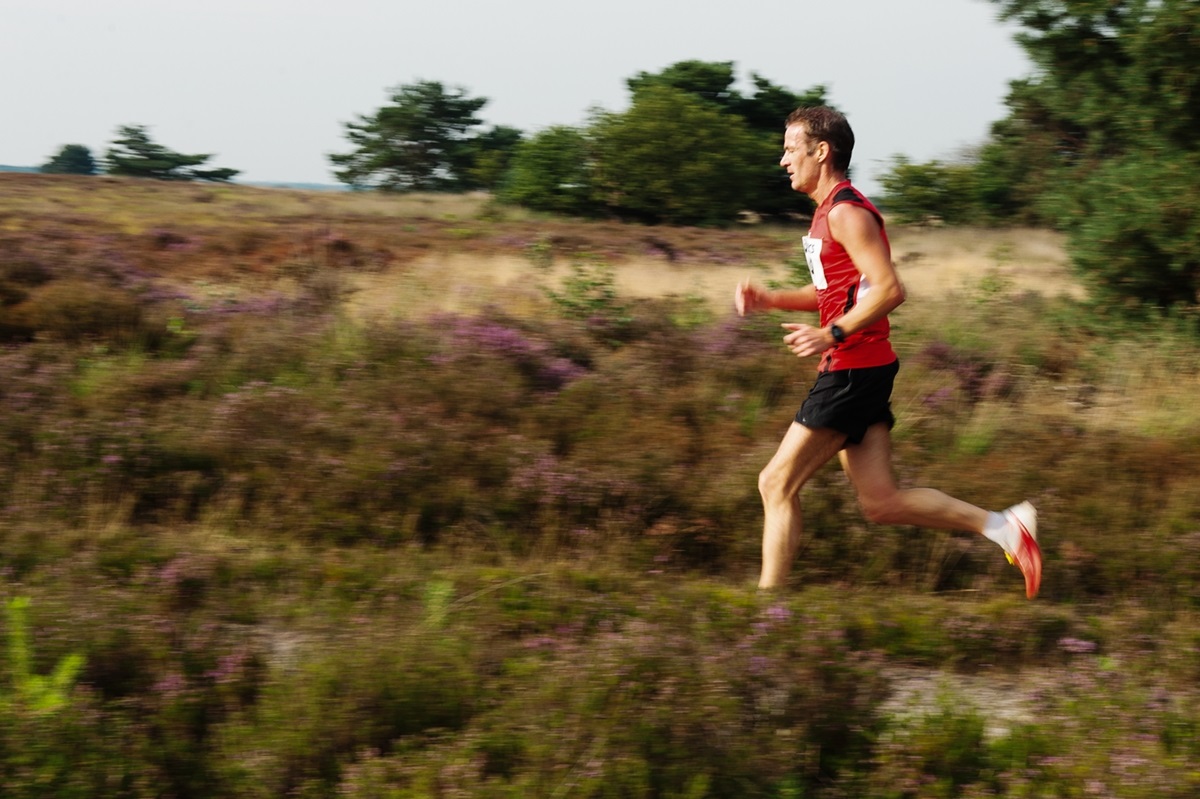 Nunspeetse Heideloop