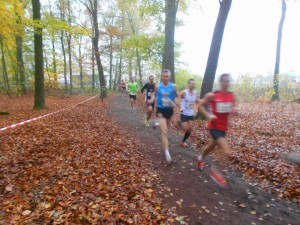 Polybouw Crossloop
