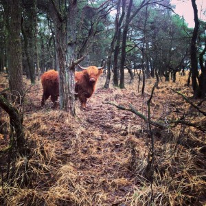 Sint Thomas Trail Run