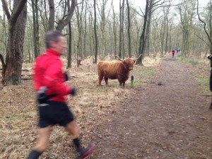 Hé, een beest!