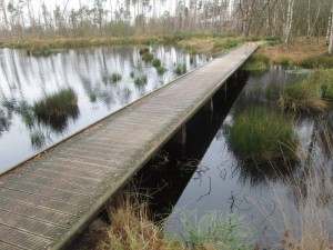 1 van de vele bruggetjes