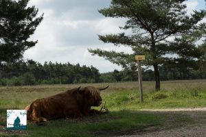 Ze waren weer in grote getale aanwezig